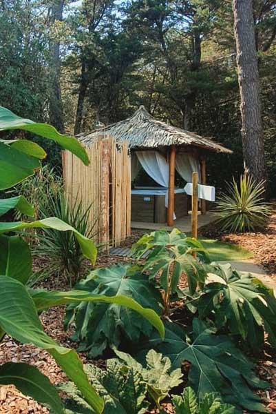 Jungle spa sherwood10